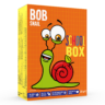 Scool Box 231g