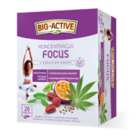 Herbapol (Zioła Mnicha, Big Active) Herbaty ziołowe - Focus Koncentracja 20szt