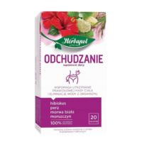Herbapol (Zioła Mnicha, Big Active) Herbaty ziołowe - Odchudzanie 20szt