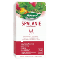 Herbapol (Zioła Mnicha, Big Active) Herbaty ziołowe - Spalanie 20szt