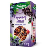 Big-Active (Herbapol) Herbata owocowa - Napar owocowy Pachnący Lasem