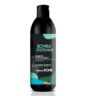 BOMBA ZIOŁOWA Szampon oczyszczający 500ml