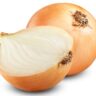 Cebula