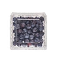 Owoce jagodowe - Borówka amerykańska