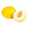 Melon żółty