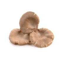 Warzywa - Grzyby - Boczniak 250g