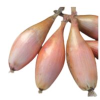 Warzywa Cebulowe - Cebula szalotka