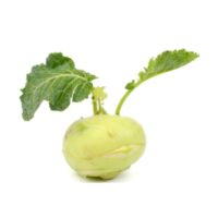 Warzywa Kapustne - Klarepa