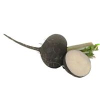 Warzywa Korzeniowe - Rzepa czarna