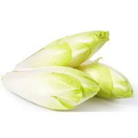 Warzywa Kapustne - Cykoria biała