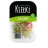 Kiełki lucerny