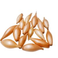 Warzywa Cebulowe - Cebula szalotka 250g