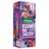 Herbata ekspresowa idziemy na jagody jagoda figa 20*2g