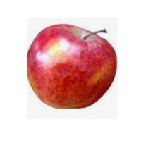 Owoce - Pestkowe - Jabłko Jonagored