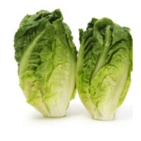 Warzywa Liściowe - Sałata rzymska 250g