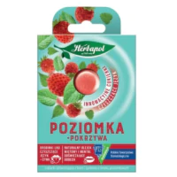 Herbapol – cukierki czyszczące język, gumy - Cukierki czyszczące język o smaku poziomki z pokrzywą 8szt