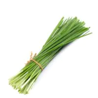 Warzywa - Zioła i natki - Szczypiorek