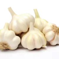 Warzywa Cebulowe - Czosnek