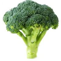 Warzywa Kapustne - Brokuł