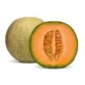 Melon Cantalopupe