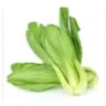 Kapusta Pak-Choi