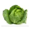 Kapusta Włoska