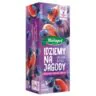 Herbata ekspresowa idziemy na jagody jagoda figa 20*2g