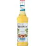 HAZELNUT SUGAR FREE - syrop bezcukrowy orzechowy 0,7ltr