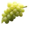 Winogrono bezpestkowe jasne SanLucar