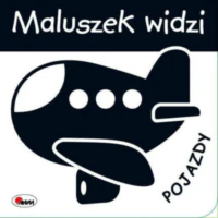 Książeczki Kontrastowe dla Niemowląt - Maluszek widzi. Pojazdy