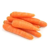 Warzywa Korzeniowe - Marchewka